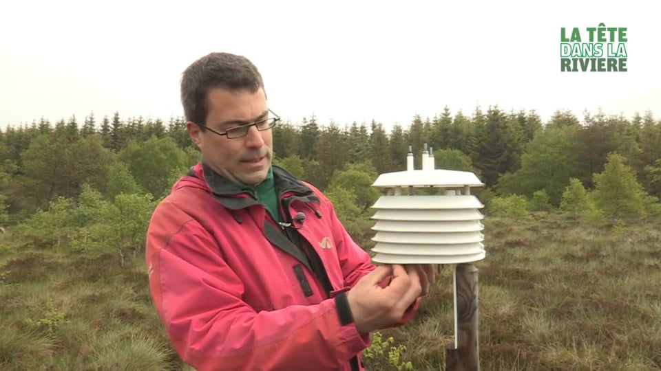 Fonctionnement des tourbières dans le Haut Bassin (Eco-hydrologie)